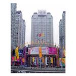 ����������㳡