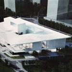 ƽ̶������������